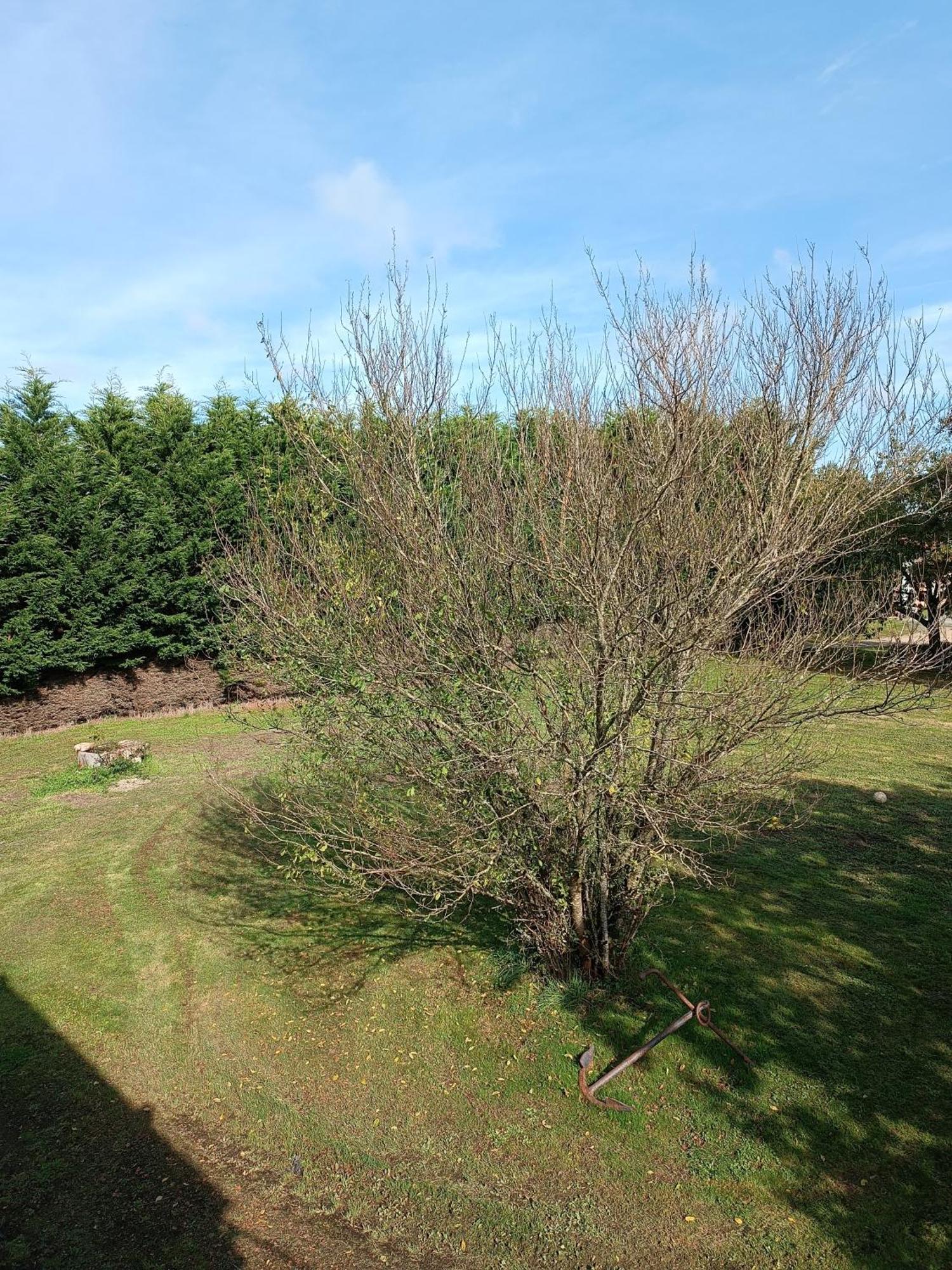 La Rochette - Appartement Les Clouzeaux Zewnętrze zdjęcie